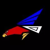 JASDF 302nd FS　航空自衛隊　第３０２飛行隊　オジロワシ