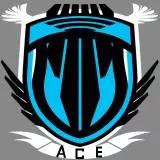 ACE INTERNATIONAL