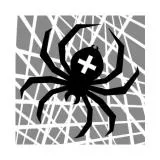 Spider Araneus/Паук-крестовик