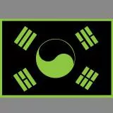 태극기 야광버전(Republic of Korea national flag