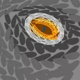 Indominus rex eye / dragon eye