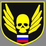 Шеврон череп