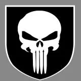 PUNISHER SEAL TEAM 3 shoulder patch