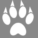 Wolf paw