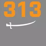 313