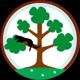 フランチェスカ・ルッキーニ/Francesca Lucchini