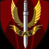 SAS