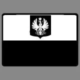 Polish Special Forces Flag Patch