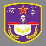 Chinese PLA Patch