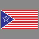 Alternate US Flag