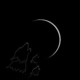 Under MOON Wolves