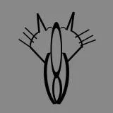 Кошка уходит