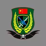 China Force中国特战