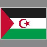 Sáhara Libre - Free Sahara