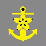 Japanese Navy