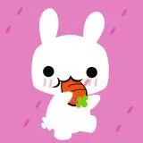 A bunny not giving a single fuck, eating a carrot.