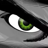 grey HULK MARVEL green eye