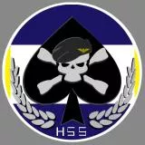 HSS clan