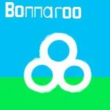 Bonnaroo 