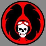 ISRAEL AIR FORCE EMBLEM 