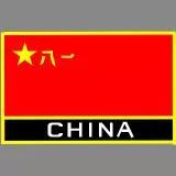 中国 CHINA CN81战队图章