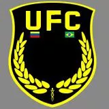 UFC_4