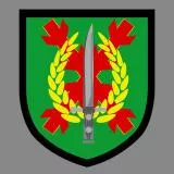 MOE (MANDO DE OPERACIONES ESPECIALE)