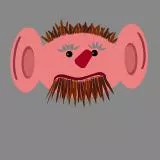 KULFON  BF1, nineOneOnePawel