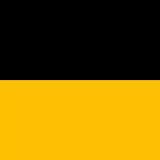 Flag of the Austrian Empire