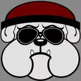 Bulldog pilot sunglasses