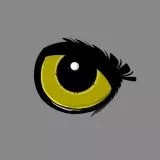 Глаз сокола