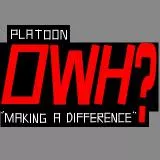 OWH Platoon Official Logo