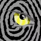 zebra eye