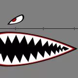 Shark face