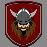 Viking shield 