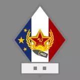 French Maritime Division