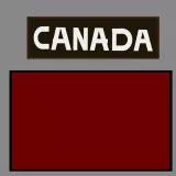 WWII 1st Canadian Infantry Division 