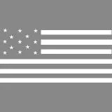 American Flag -- Black & White