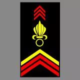Légion Étranger Française - Caporal-Chef (CCH)