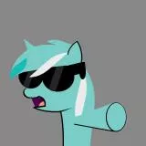Sunglass Pony